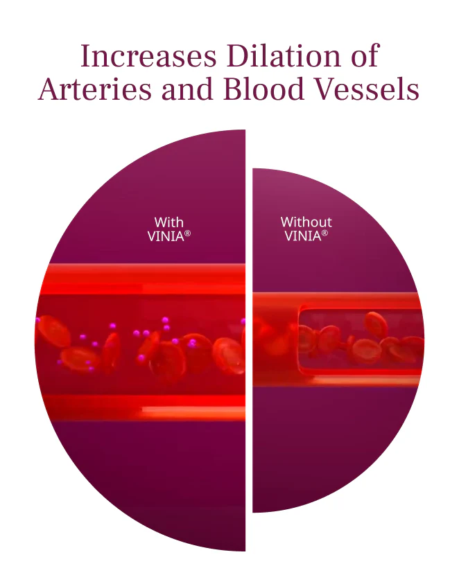 VINIA Capsules 30-Day Supply - Image 4