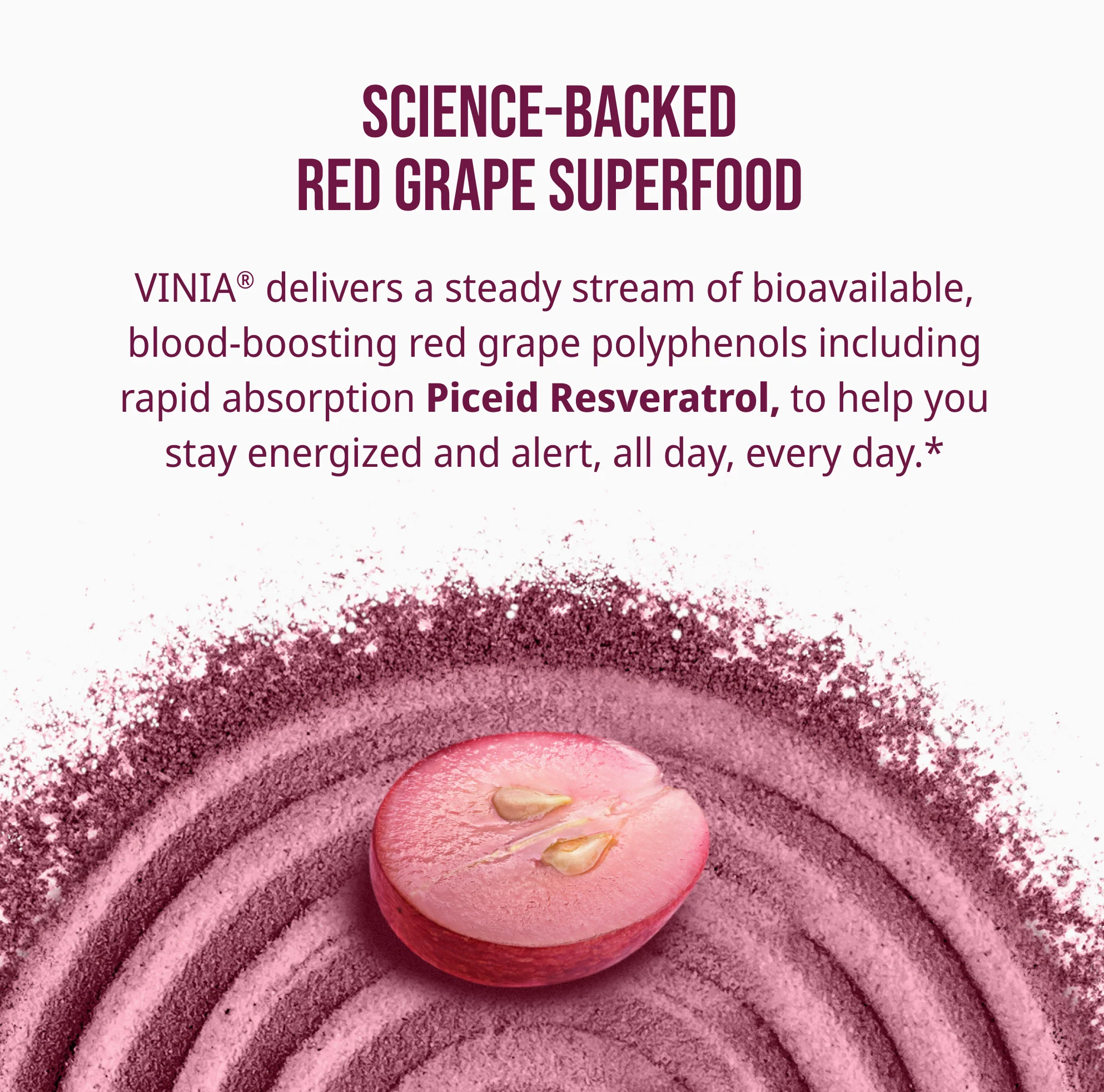VINIA® Hydration Fruit Punch - Image 9