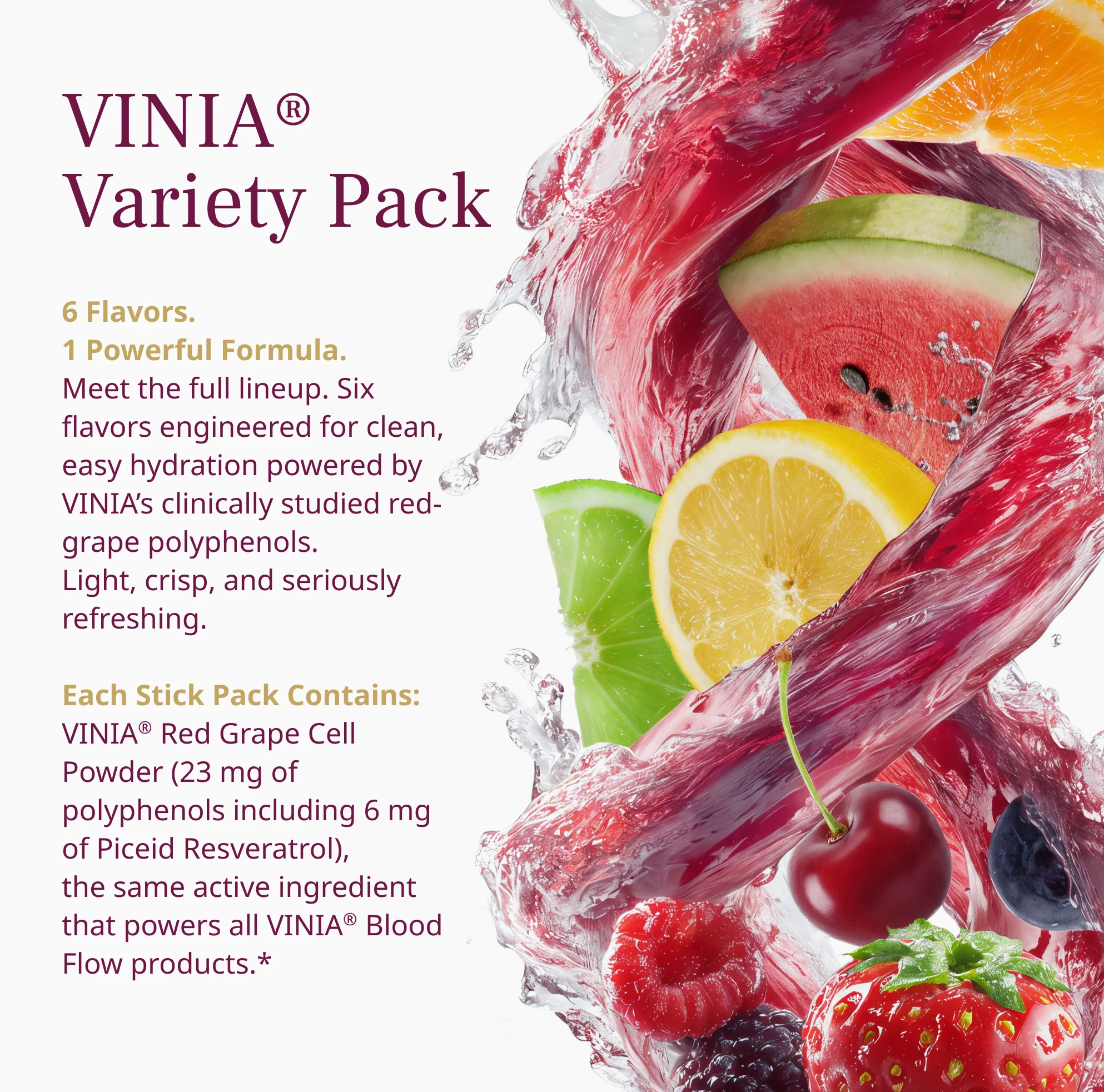 VINIA® Hydration Variety Pack - Image 6